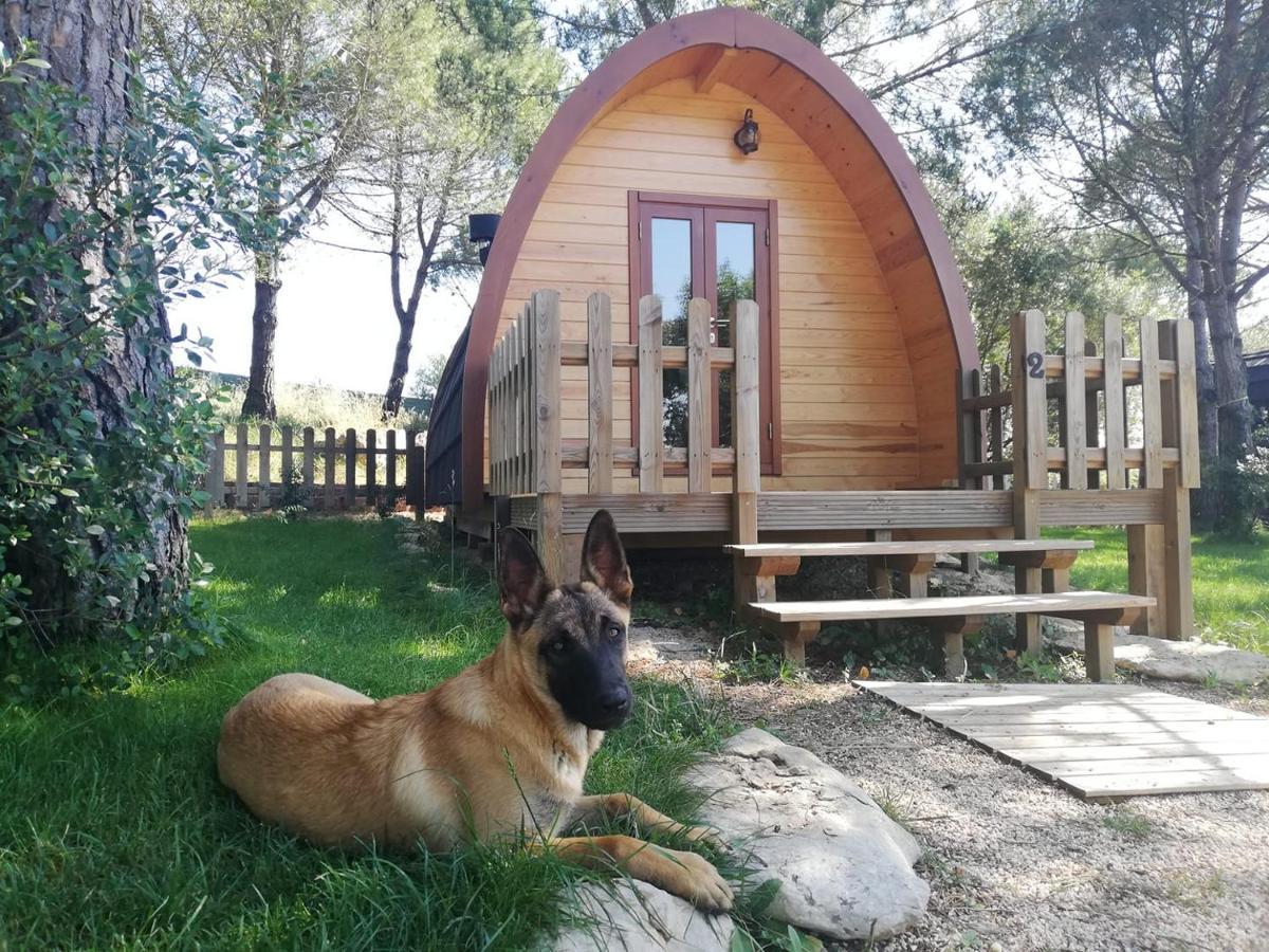 Отель Glamping Синтра Экстерьер фото
